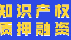 知识产权助力企业质押融资
