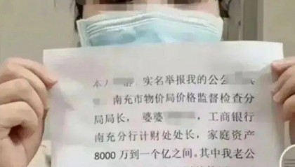 女子举报“前公婆资产近亿”，为何近一年才公布调查结果？