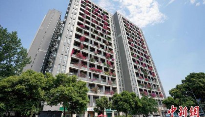 成都一栋30层高居民楼被三角梅扮靓