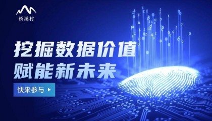 从区块链到数据资产：桥溪村如何打造人人共享的财富新生态
