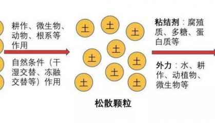 腐植酸究竟是个啥？含腐植酸肥料有啥用？
