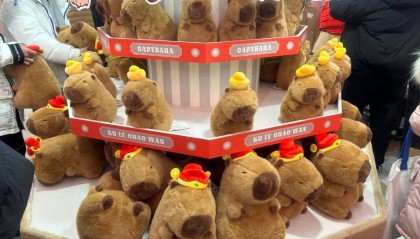 “零糖社交”，是啥？