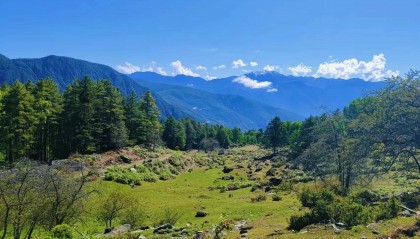 荟萃科技：想要赚大钱，先要有帝王心态。