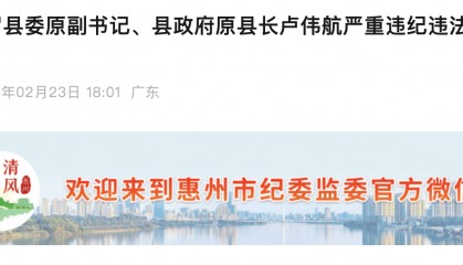 辞去公职7年后！惠州市博罗县原县长卢伟航被开除党籍