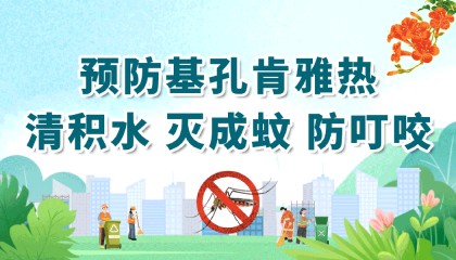 收好这份指引！十大场所灭蚊防基孔肯雅热有方法