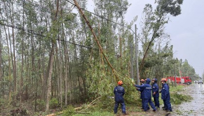 台风“蝴蝶”停编，登陆以来造成中国广西5人死亡、越南6人死亡