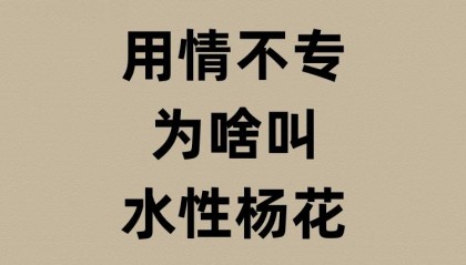 水性杨花的杨花是啥？