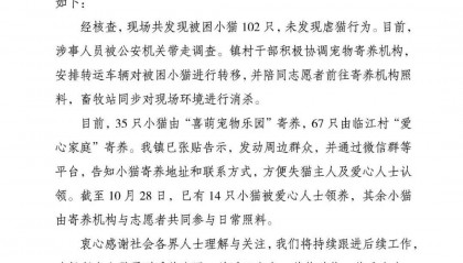 成都一空置房被曝上百只猫被关在铁笼，官方通报：未发现虐猫行为，被困小猫已安全转移，涉事人员被公安机关带走调查