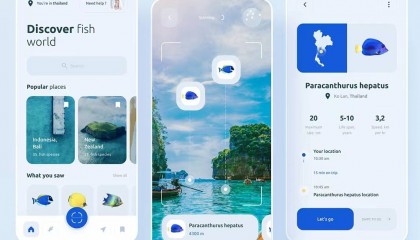区块链钱包的开发对接