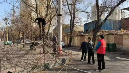 山西太原：大风吹断树枝 网格员及时除隐患