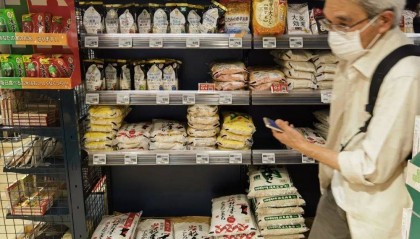 日本米价连创新高，日本人赴韩国“淘米”