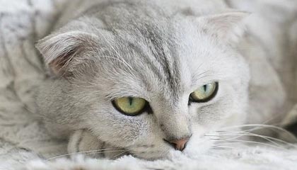 引领未来：区块链技术的革新与应用