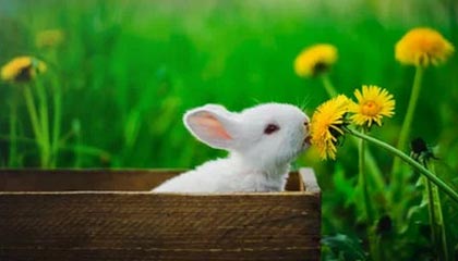 区块链技术在金融交易中的应用