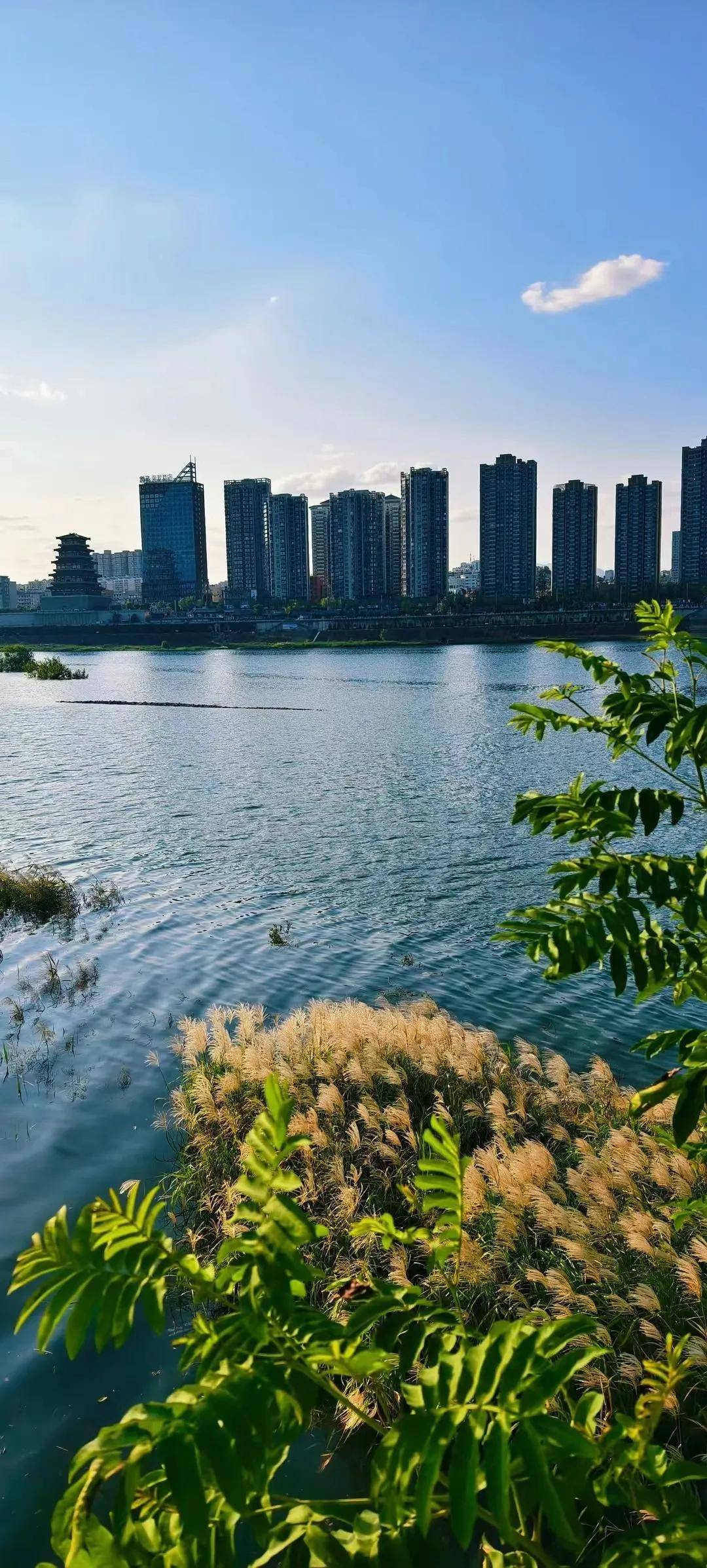 啥是“安康湖”？未来啥样？效果图来啦……