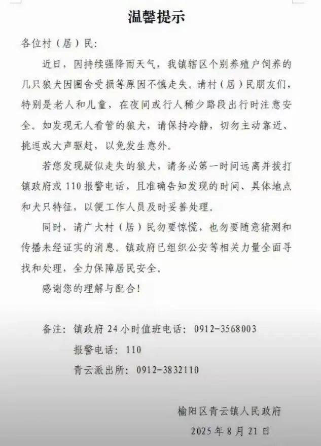 陕西一镇上有狼外逃？当地回应：是狼犬，已击毙21只，还有一两只在逃