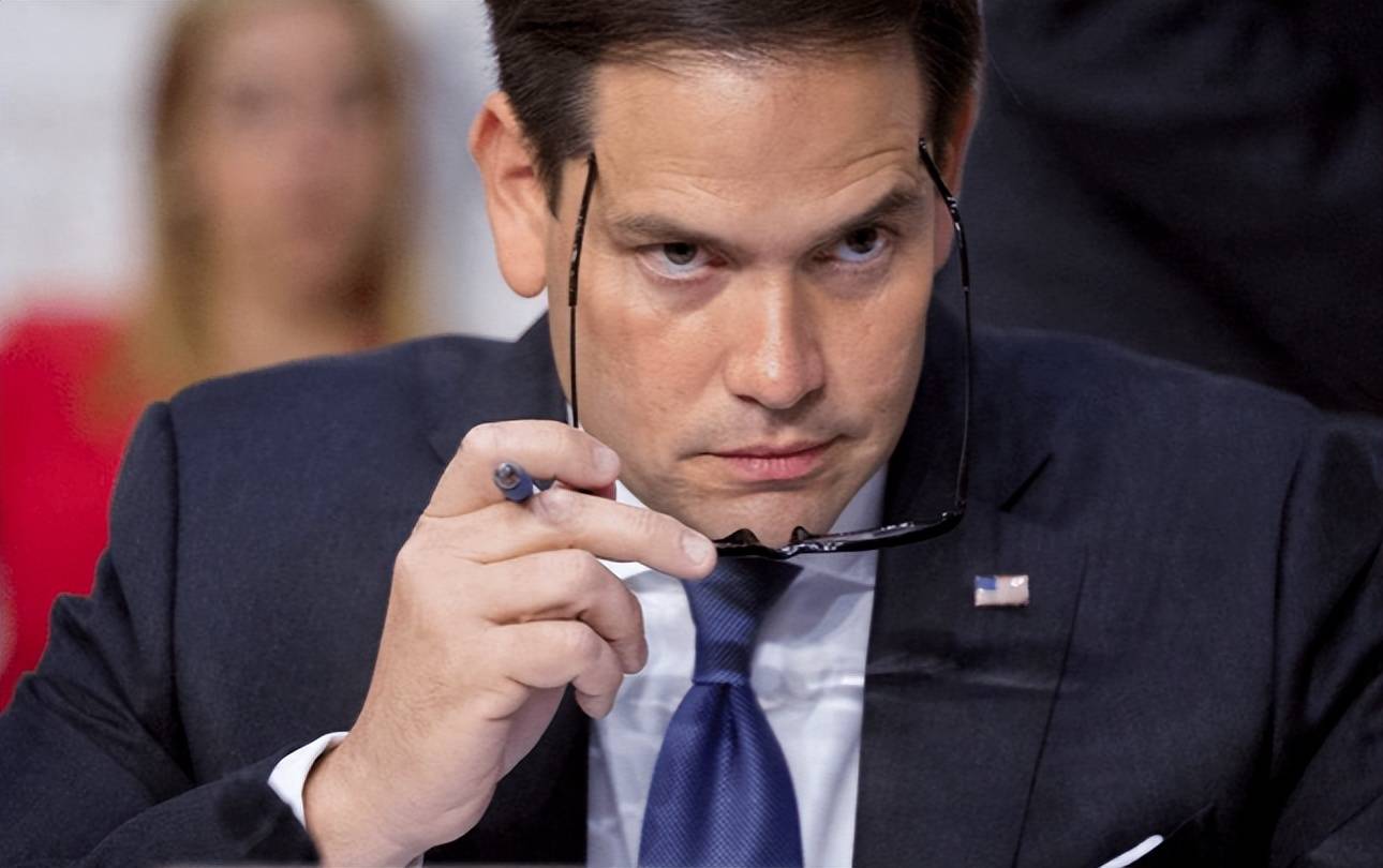 泽连斯基还没给脸就不要脸,我主张派遣部队到乌克兰维和