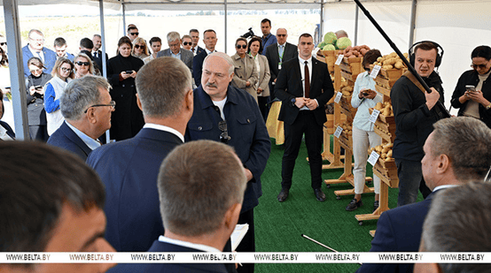 卢卡申科透露:将带土豆前往中国,作为礼物赠予一些国家领导人