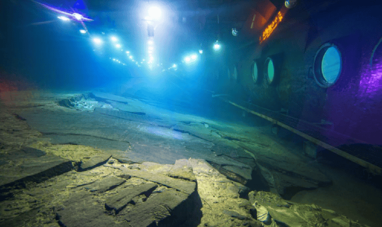 白鹤梁水下罩子内惊现“虾兵”？专家：它们靠运气闯入