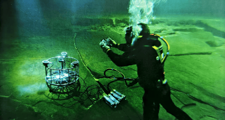 白鹤梁水下罩子内惊现“虾兵”？专家：它们靠运气闯入