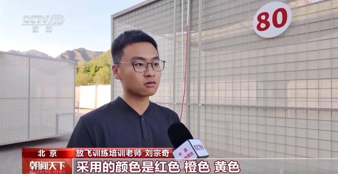 明天将放飞8万羽和平鸽、8万只气球，揭秘！