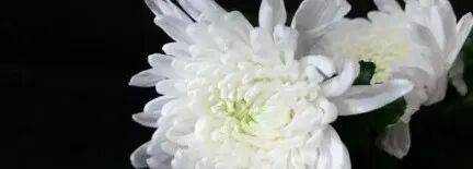 乌军士兵乔装成俄军，与俄士兵寒暄，随后趁其不备将两名俄军枪杀，无人机拍下全过程