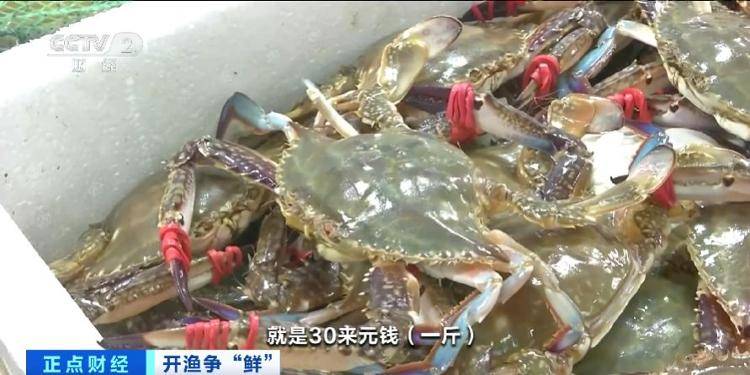 大连“开海”首个周末，海鲜价格走势如何？记者探访→