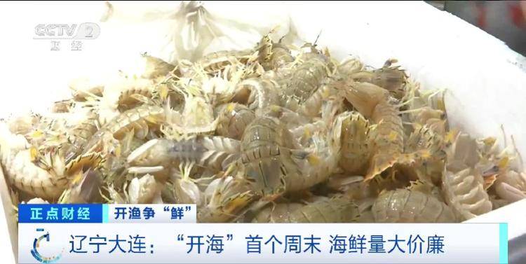 大连“开海”首个周末，海鲜价格走势如何？记者探访→