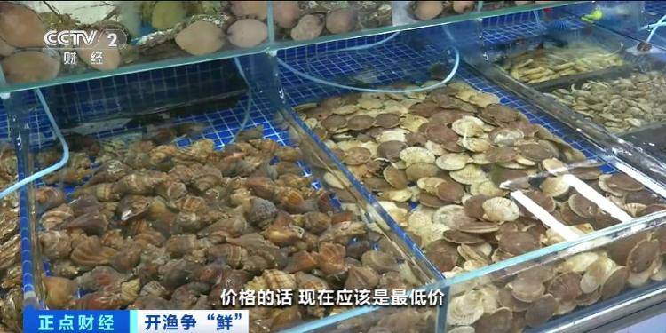 大连“开海”首个周末，海鲜价格走势如何？记者探访→