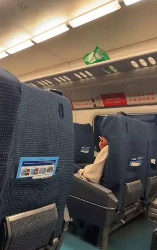 男子在高铁车厢内抽烟，遭举报被民警戴铐带走，12306：高铁上吸烟违法，严重将导致列车停驶