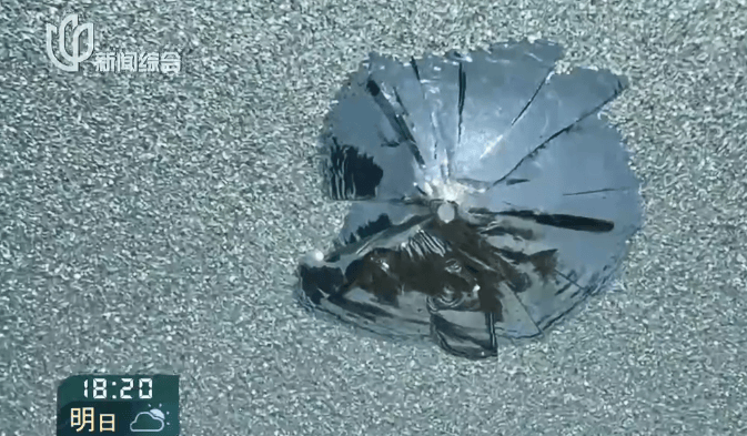 叶某(60岁)已被刑拘！监控曝光…网友怒斥如此行径太恶劣