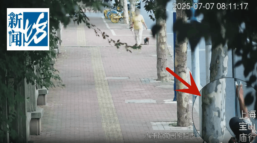 叶某(60岁)已被刑拘！监控曝光…网友怒斥如此行径太恶劣