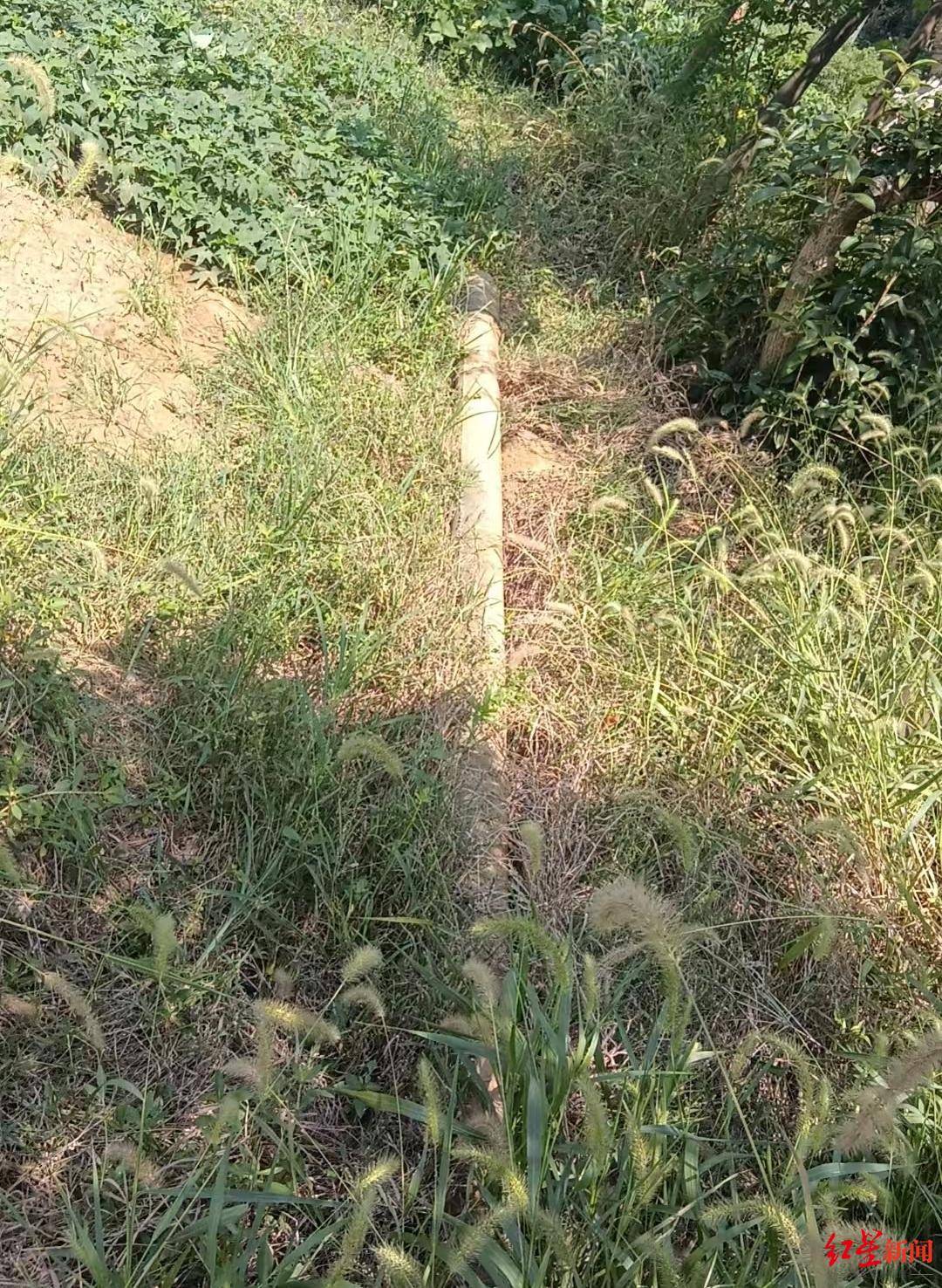 5岁女童被水泥杆砸中不幸身亡 家属：杆上有明确标识和编号，望尽快查清所属单位