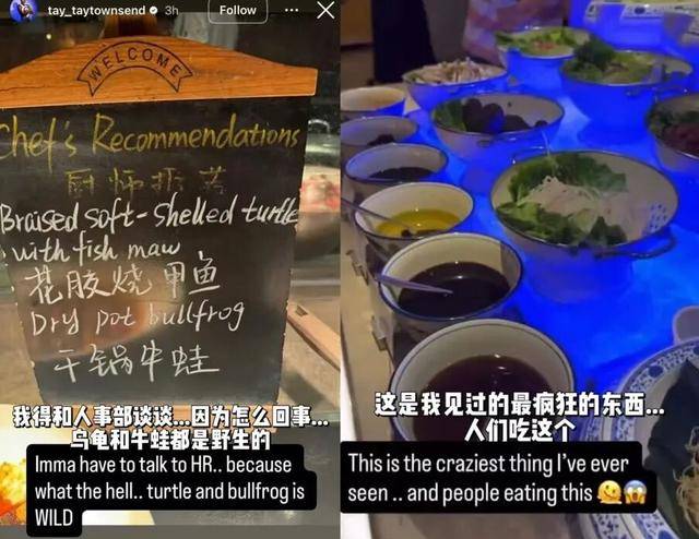 公开侮辱中国菜!美国网球选手致歉了!