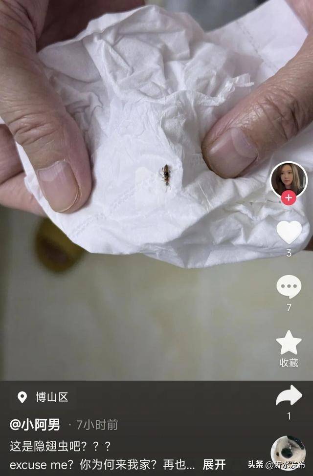 山东多地现这种虫子,千万别拍!