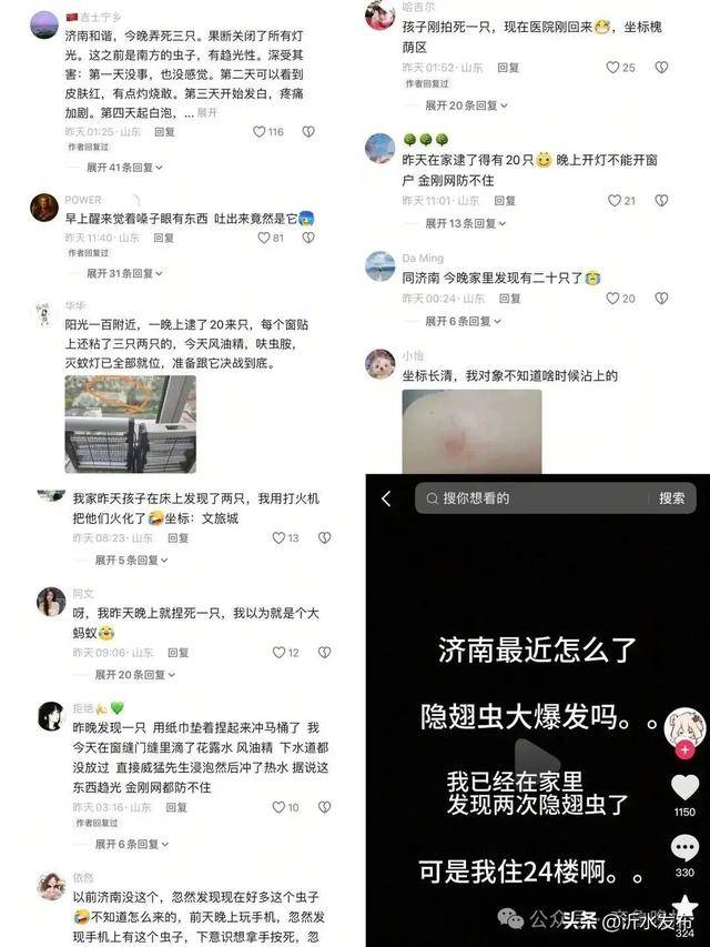 山东多地现这种虫子,千万别拍!