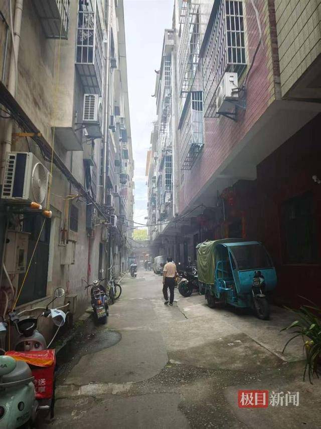 被流量砸中的“鸡排哥”：每天只休息四五个小时，二舅哥家的民宿已爆满