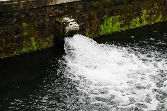 秋色满城 历下有约丨护城河畔美出圈！解锁历下限定秋日浪漫