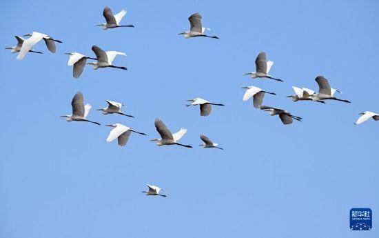 海南昌江海尾国家湿地公园恢复开园