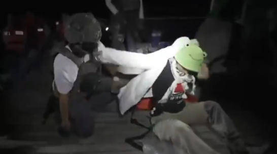 以色列外交部:“环保少女”通贝里和其他170名活动人士已被驱逐出境