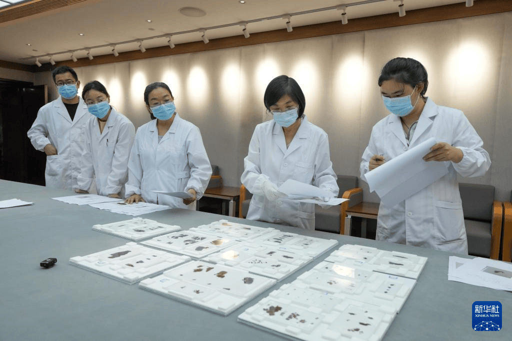 结束漂泊79年 子弹库战国帛书正式入藏湖南省博物馆