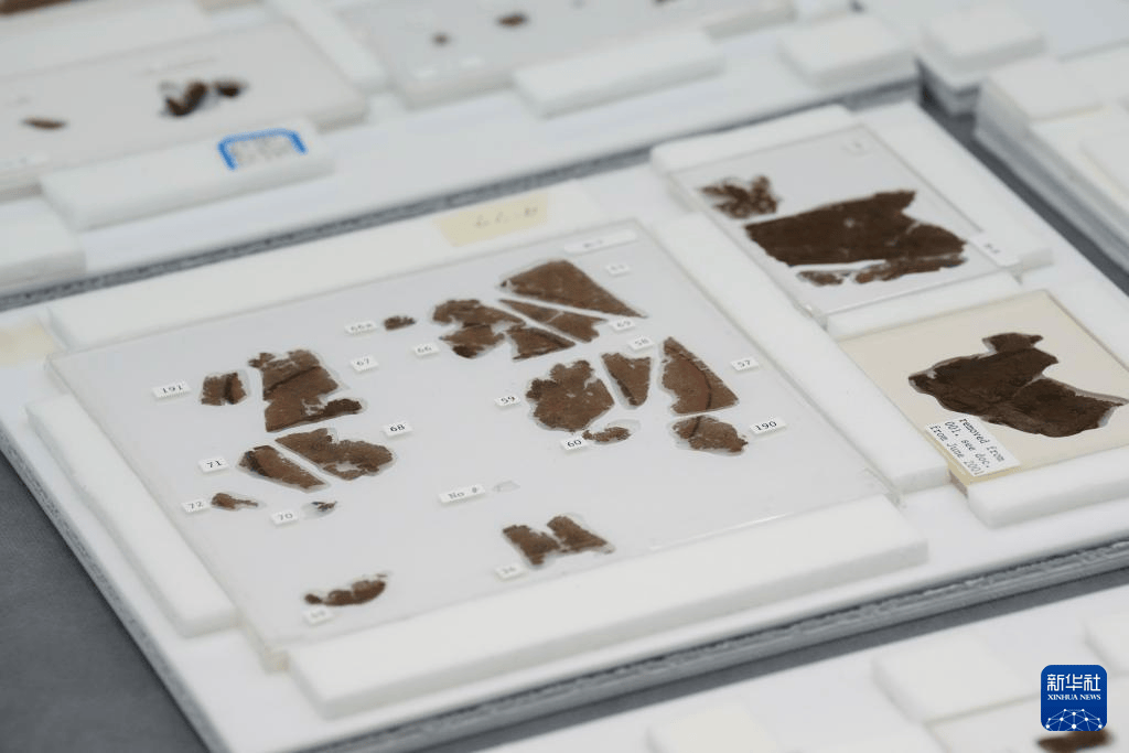 结束漂泊79年 子弹库战国帛书正式入藏湖南省博物馆