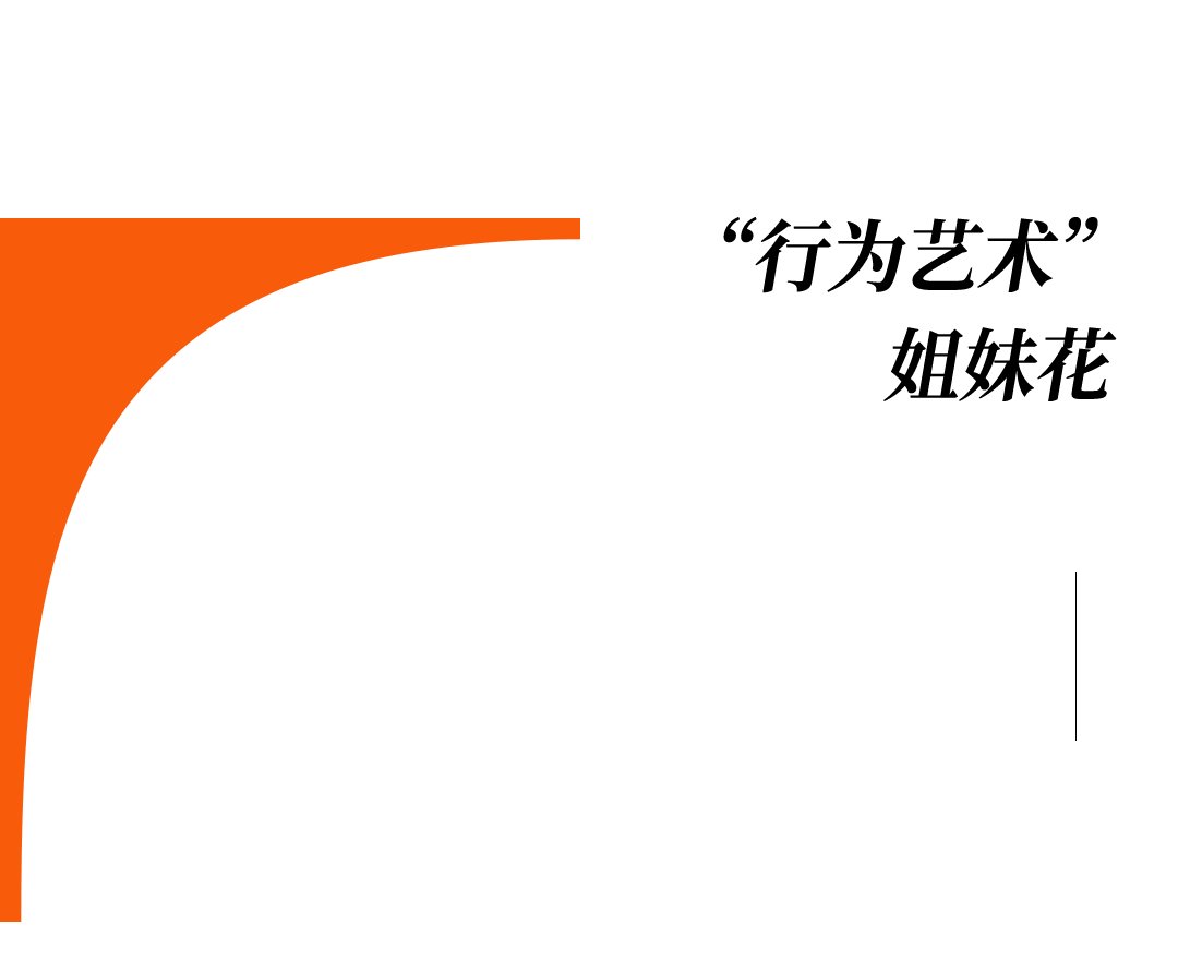 爱马仕当“头饰”,香奈儿挂满身,这对“神秘姐妹”是谁?