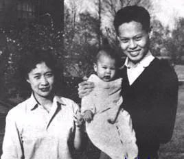 103岁杨振宁去世,象牙塔倒塌