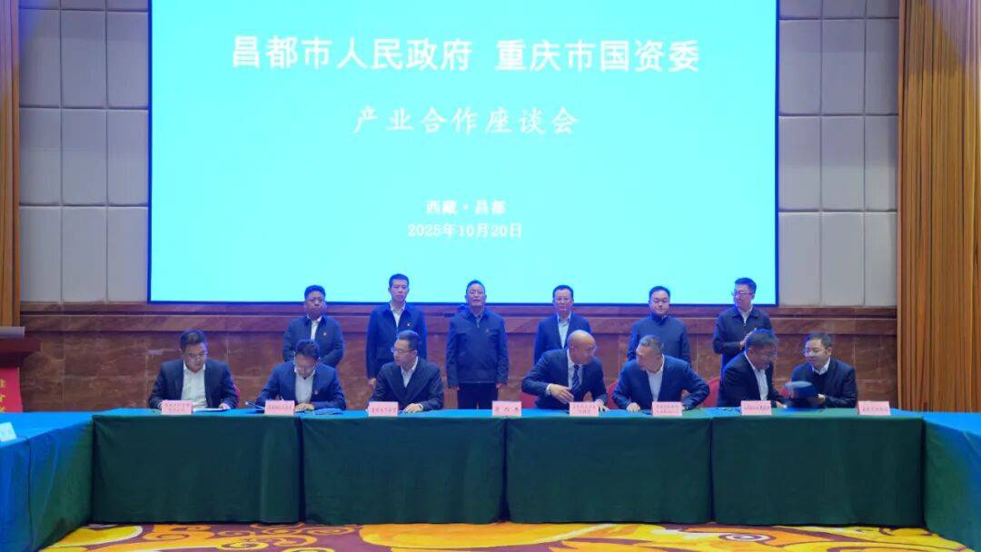 重庆市国资委与昌都市深化产业合作 合力推动两地协作走深走实