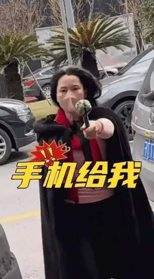 考古|何赛飞录节目把刘嘉玲刘晓庆等嘉宾得罪完,她是情商低还是真性情?